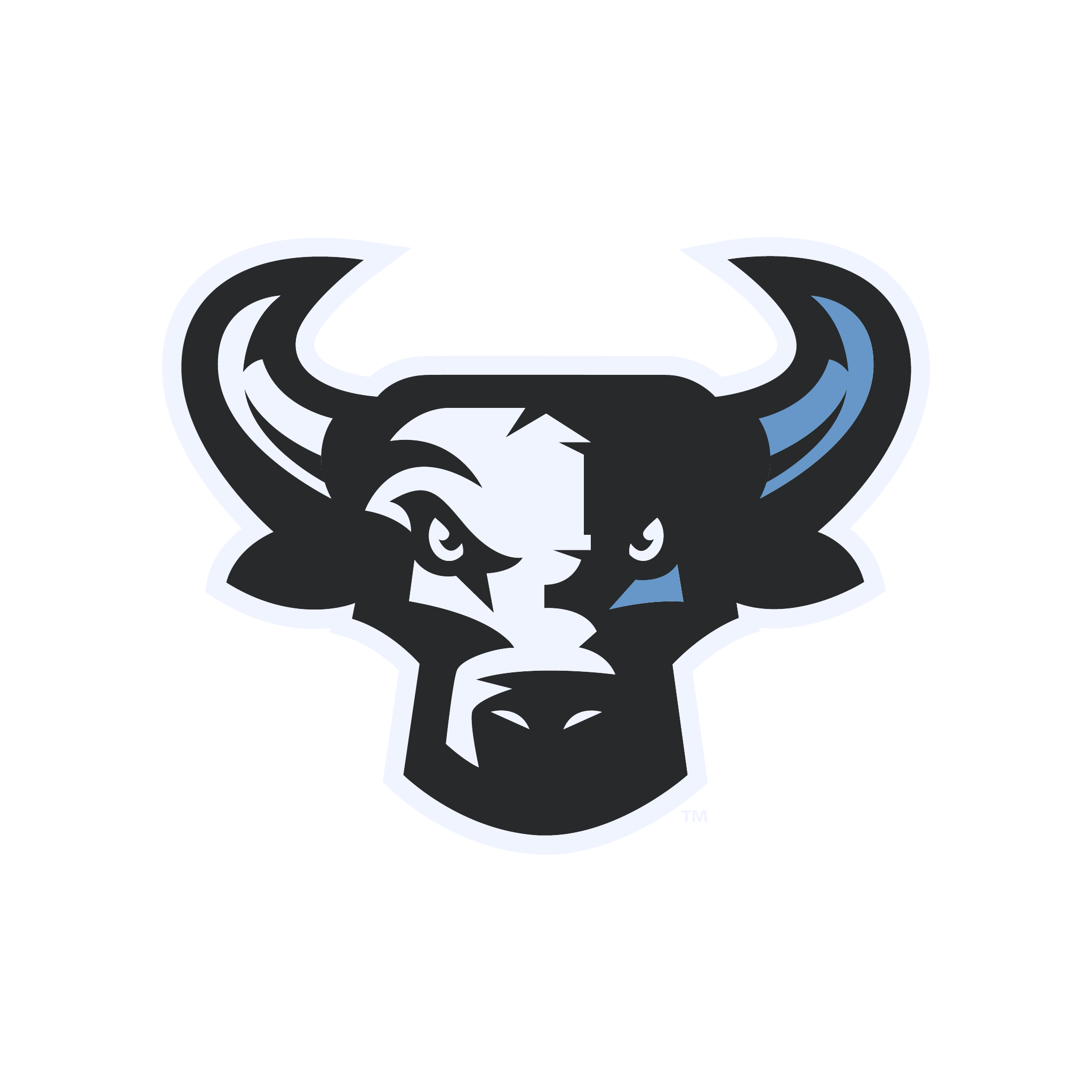 CINCY DURHAM BULLS